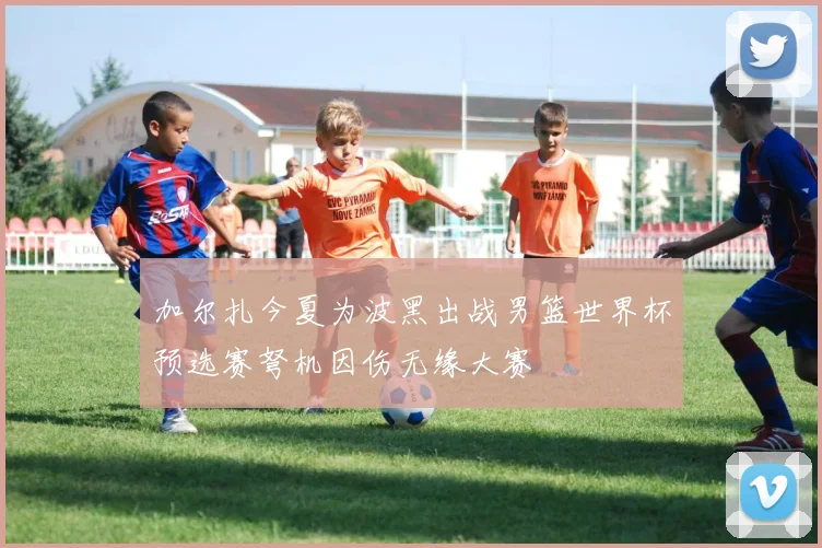 加尔扎今夏为波黑出战男篮世界杯预选赛弩机因伤无缘大赛
