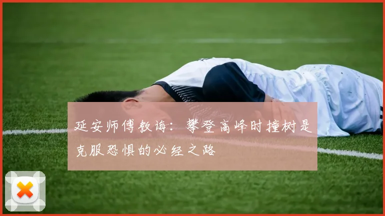 延安师傅教诲：攀登高峰时撞树是克服恐惧的必经之路